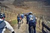 Weinberge